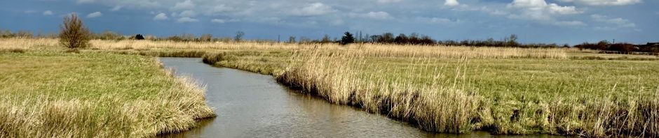 Histoire, Culture et Patrimoine des pays de Vie et de Rié
